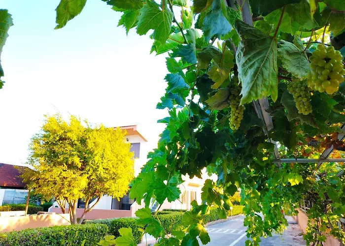 Kyriakos Studios
